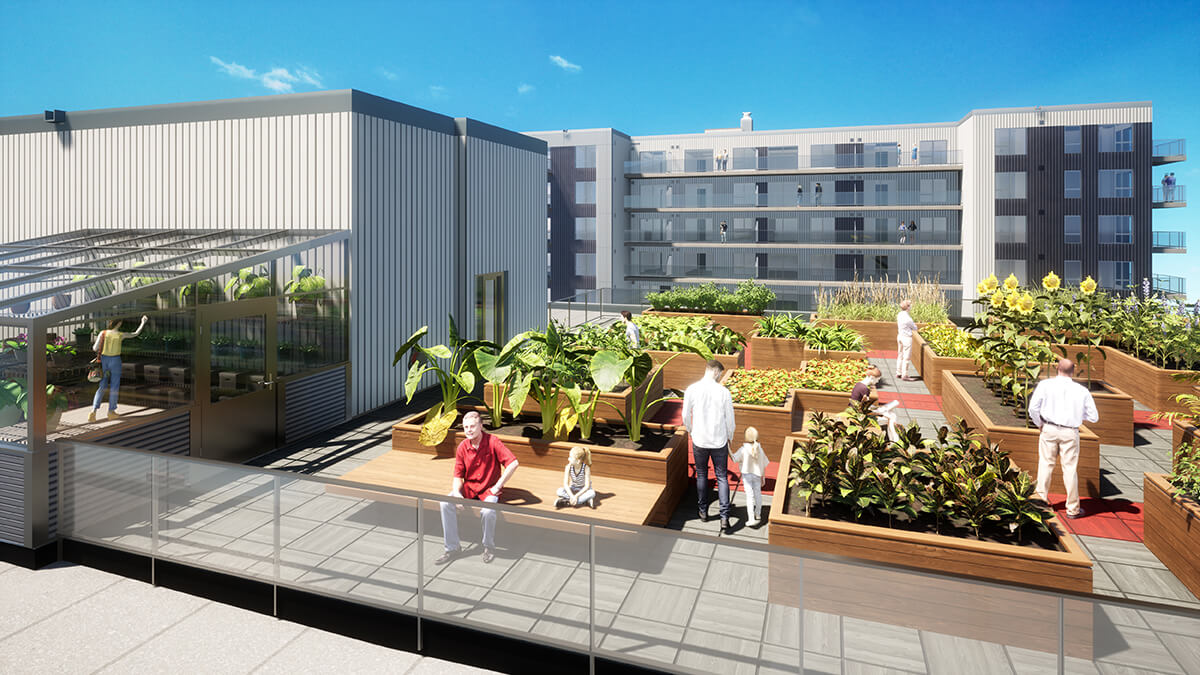 Groupe Custeau - Espace Centro - roof garden